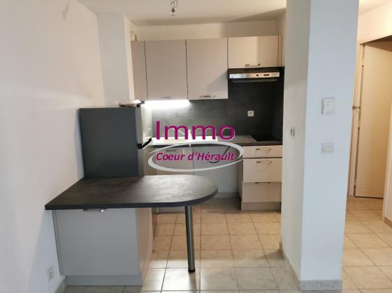 A LOUER T2 CLIMATISE EN RDC CLERMONT L'HERAULT
