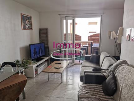 A LOUER APPT T3 AVEC TERRASSE A ST ANDRE DE SANGONIS
