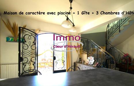 MAISON DE CARACTERE avec piscine + 2 APPARTEMENTS + 3 CHAMBRES D'HOTES
