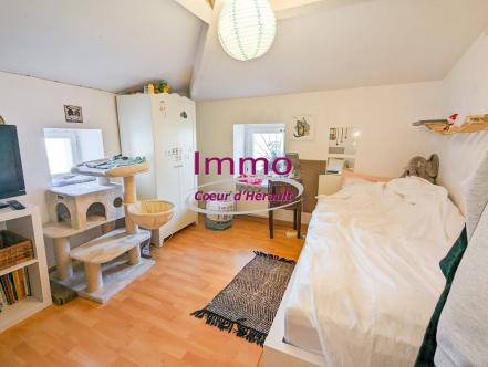 CLERMONT L'H�RAULT CENTRE : IMMEUBLE DE RAPPORT
