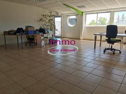 A LOUER LOCAUX A USAGE PROFESSIONNEL CLERMONT L'HERAULT
