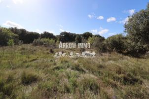 Terrain � b�tir 650 M� viabilis�
