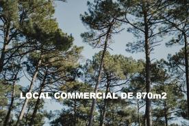 Opportunit� Exceptionnelle ! Local de 870 m� Id�alement Plac�
