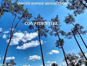 SUPERBE VILLA D'ARCHITECTE DE TYPE T8 DE 325 M2  AVEC PISCINE ET SPA  dont 142 M2 de SOUS SOL  