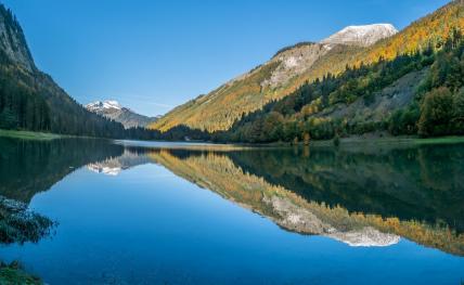 A SAISIR SUPERBE APPARTEMENT A MONTRIOND ! DANS UN CADRE DE VIE PRIVIL�GI� AU COEUR DES MONTAGNES...