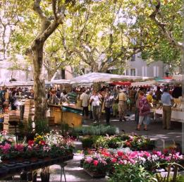 SUBLIME T3 TERRASSE BBC � �trenner - RESIDENCE AVEC PISCINE 
