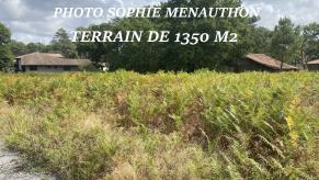 SUPERBE TERRAIN PLAT DE 1350 M2 SOIT 300 M2 D'EMPRISE AU SOL
