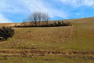 Terrain Agricole  Graulhet 3282 m
