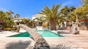 SABLE DE VELOURS �
