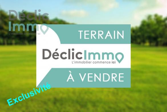 Terrain bois� 
