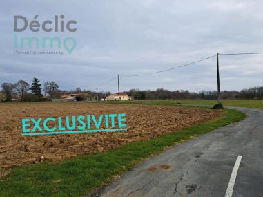 Grand terrain avec partie constructible
