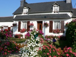  le Grand Hortensia centre Finistère