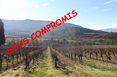 Id�al pour un investisseur, � vendre un grand terrain constructible � Luc sur Aude
