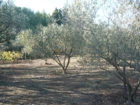 Saint Gilles terrain constructible de 800m� pos de 0,20
