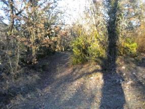 A 15 mn de CAHORS, 2 ha bois�e enti�rement constructible et en pleine nature...

