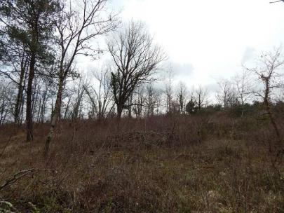 CAHORS, terrain constructible de 1788 m� bois�.
