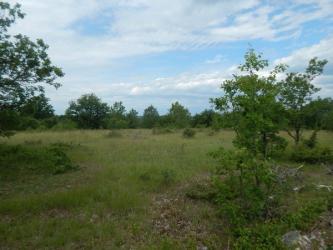 CAHORS-SUD, terrain plat et bois�e de 7600 m� hors taxe fonci�re Cahors
