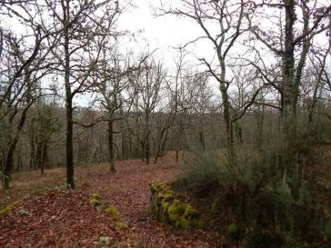 CAHORS, La Capelle, terrain constructible bois� de 4400 m�
