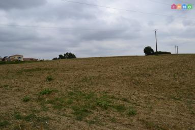 Terrain de 1 hectare en campagne
