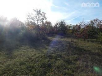 LALBENQUE, terrain constructible arbor�e de 2700 m�
