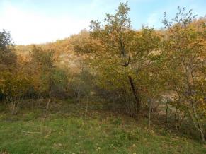 CAHORS : � 5/10 mn de CAHORS, terrain constructible reli� au tout a l'�gout de 1800 m�
