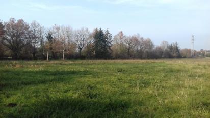 TERRAIN INDUSTRIEL et COMMERCIAL proximit� VANNES
