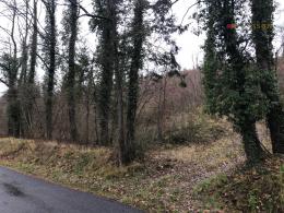 Terrain � b�tir Saint Mihiel 4114 m�

