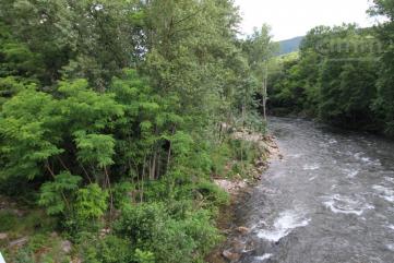 A vendre un terrain non constructible de 16000m� pour coupe de bois.
