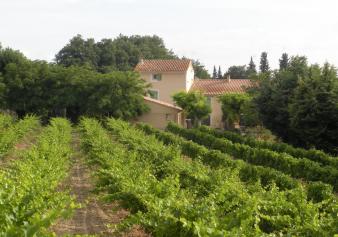 MAS 230 m� - TERRAIN 3 HA COURTHEZON - MONT VENTOUX
