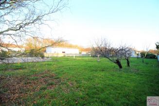 TERRAIN DE 1103m�
