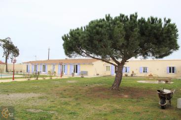 Dans la campagne proche mer
