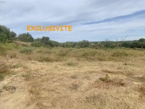 TERRAIN AGRICOLE
