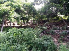 Maison F 4 sur  758 m� ETANG SALE 974
