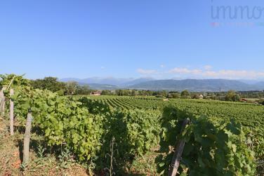 Cellier � usage vinicole, viticole ou apicole
