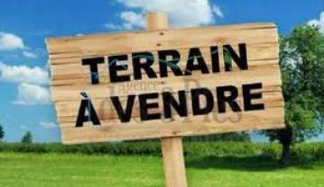 Terrain viabilis� avec for�t et vue montagnes
