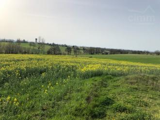 Joli terrain de 6 700m2 expos� plein sud
