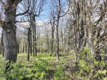 Terrain constructible 850m� avec vue sur l'�tang
