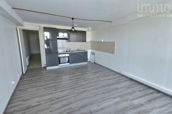 BLOIS Hyper Centre, A Vendre Appartement T2 enti�rement r�nov�, vue Loire

