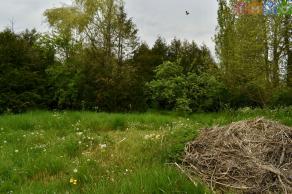 SAINT CYR SUR MORIN, Terrain � b�tir de 830 m2 
