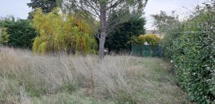 Terrain constructible
