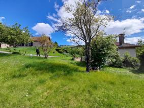 Exclusivit� peyrus
