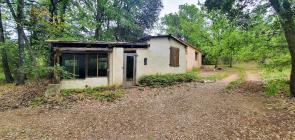 Maison T3 avec d�pendances 1 hectare de terrain
