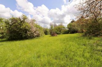Terrain � batir 2289 m� - Pontailler sur Sa�ne
