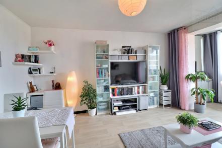 A VENDRE SANARY APPARTEMENT 2 PIECES PROCHE PORT
