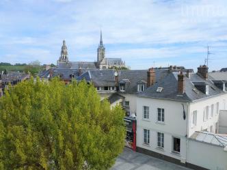 Appartement avec ascenseur - coeur de ville, au pied des commerces, jardin public et gare, avec plac