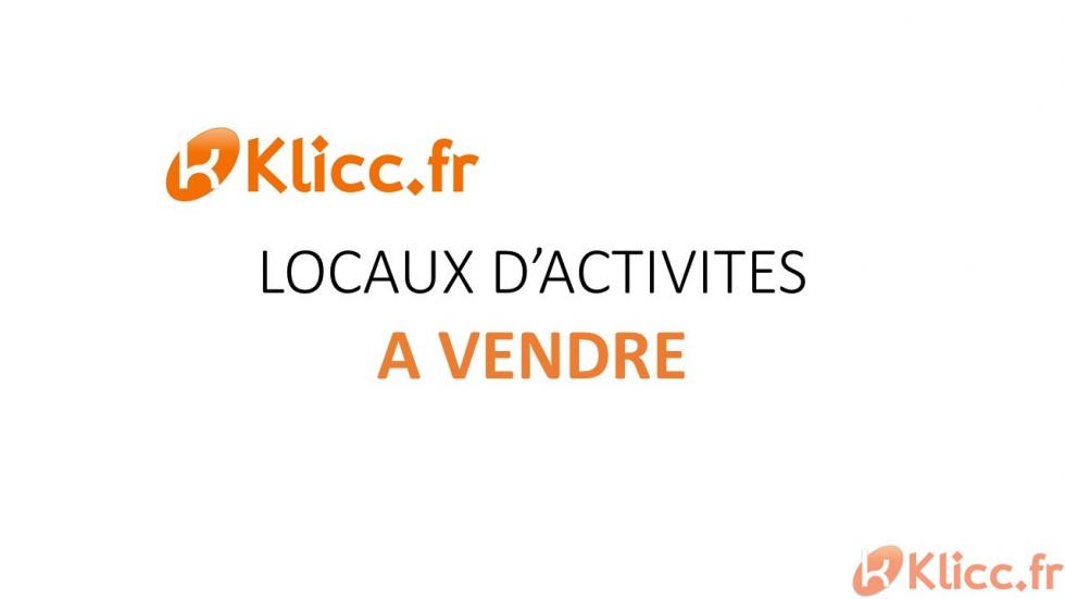 LOCAUX D ACTIVITES
