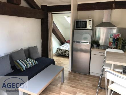 Superbe T1BIS avec terrasse � TOULOUSE Compans
