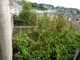 Local � r�habiliter
